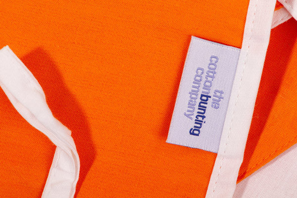 Orange and White Bunting Close Up