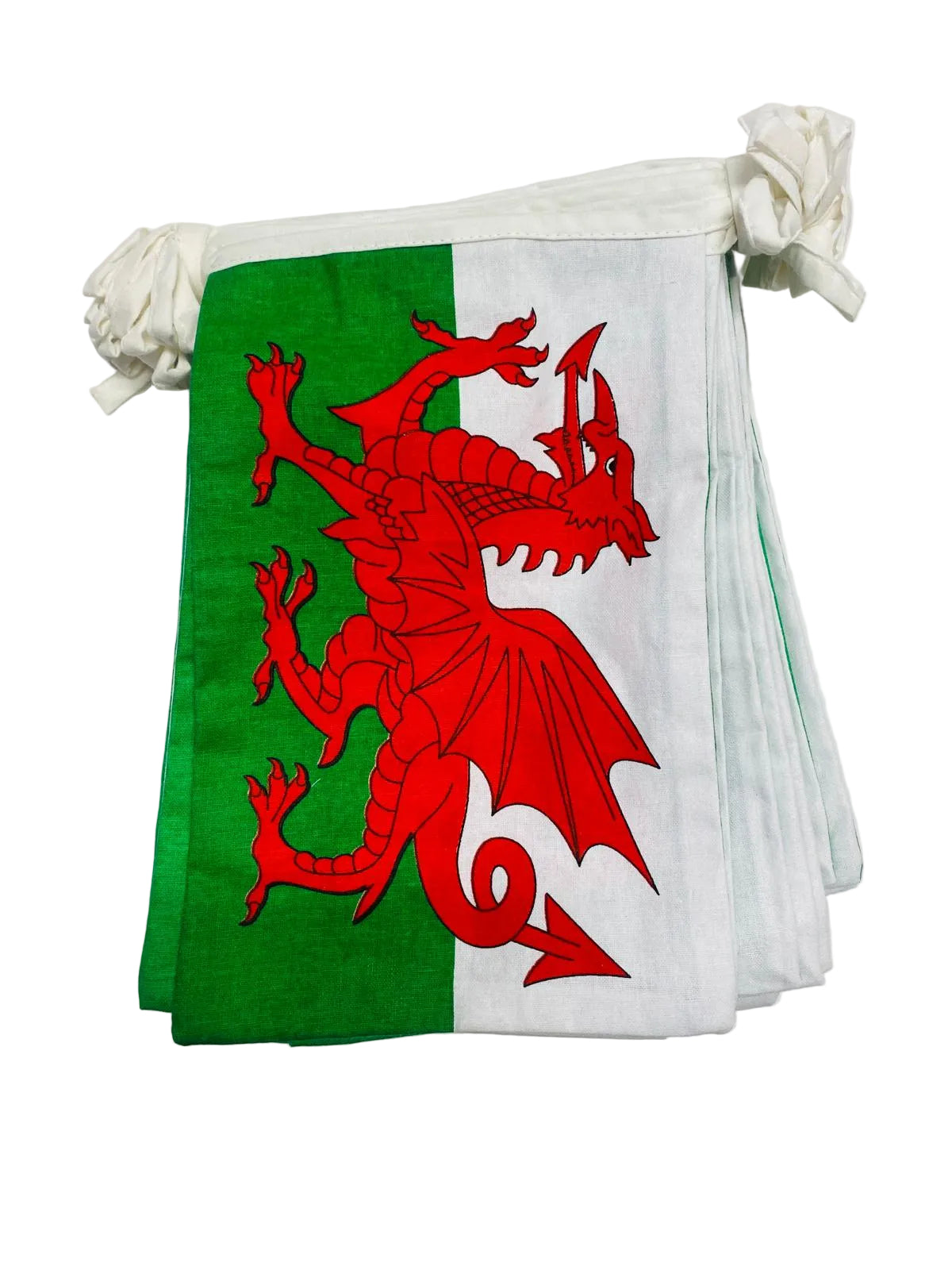 Wales 'Welsh Red Dragon' Bunting 10m