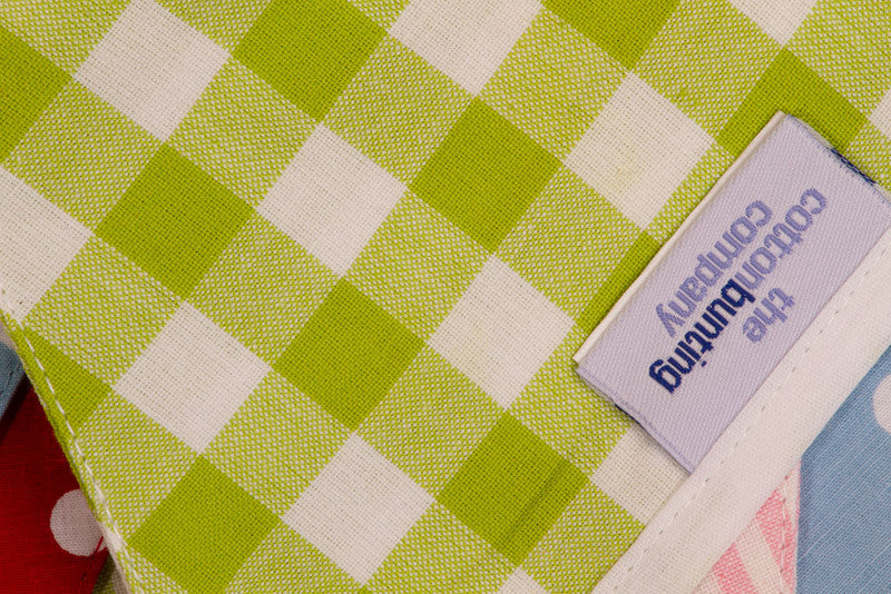 Neapolitan Bunting Close Up