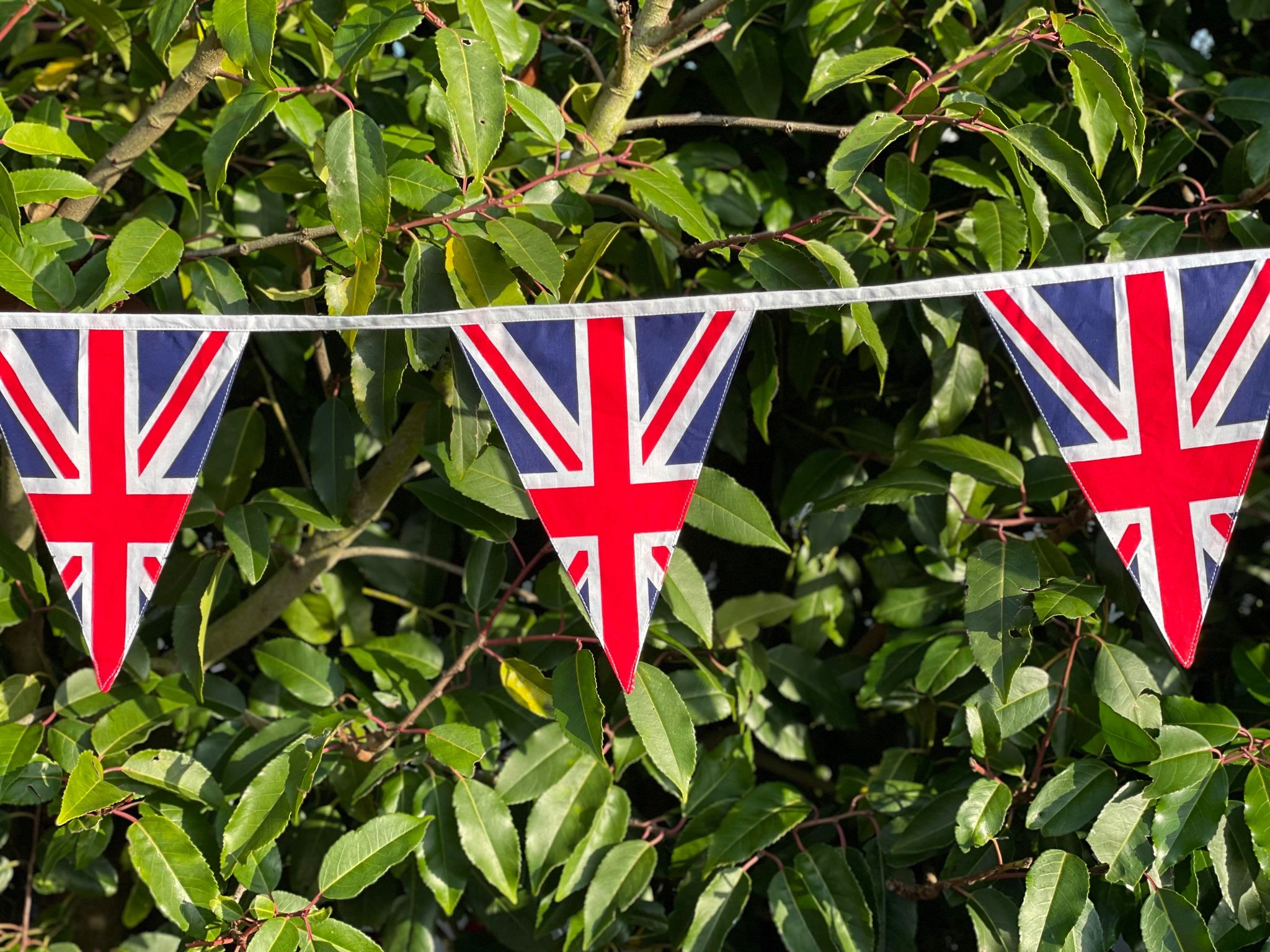 The Queen\'s Platinum Jubilee Decorations - Cotton Bunting Company